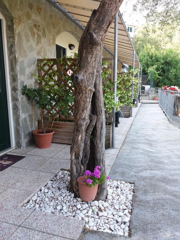 Affittacamere Arabafenice Vezzano Ligure Exteriér fotografie