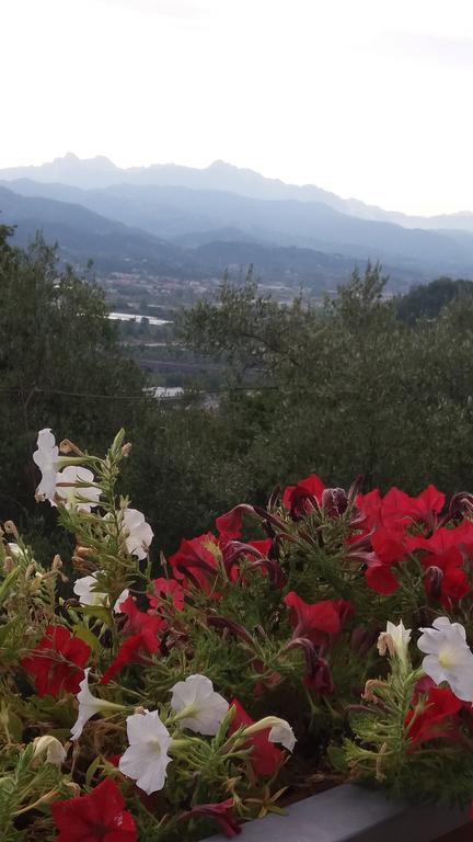 Affittacamere Arabafenice Vezzano Ligure Exteriér fotografie